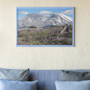 Mount St Helens Wildflowers Photographic Poster
