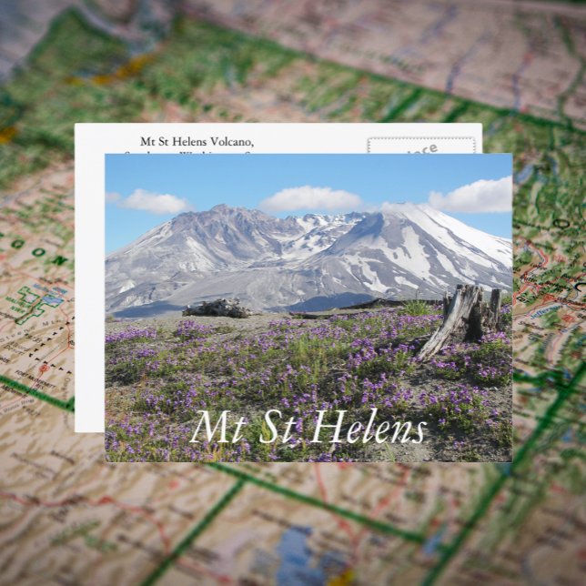 Mount St Helens Wildflowers Travel Photo Postcard (In Situ Map)