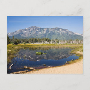 Mount Tallac Reflection Postcard