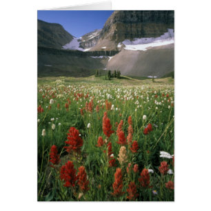 MOUNT TIMPANOGOS WILDERNESS, UT, US,