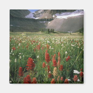 MOUNT TIMPANOGOS WILDERNESS, UT, US, MAGNET