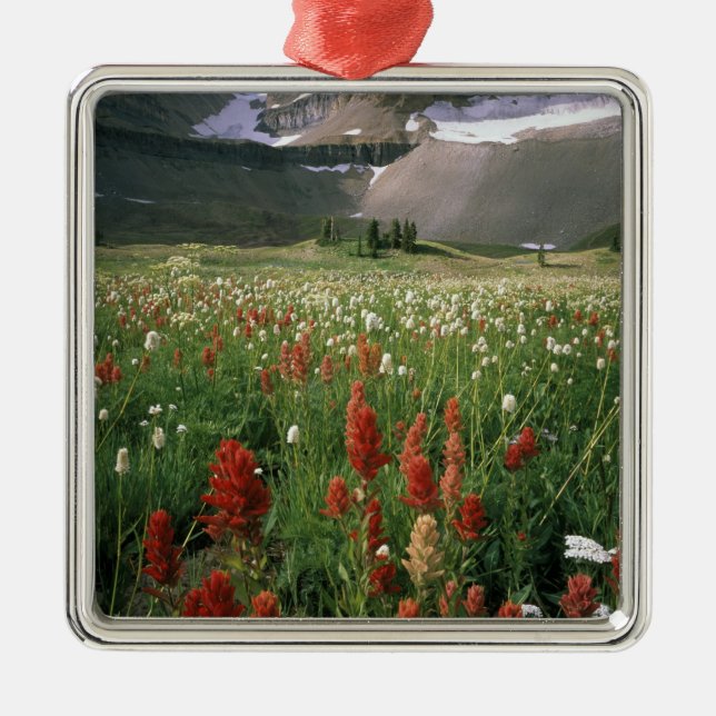 MOUNT TIMPANOGOS WILDERNESS, UT, US, METAL TREE DECORATION (Front)