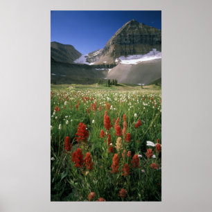 MOUNT TIMPANOGOS WILDERNESS, UT, US, POSTER
