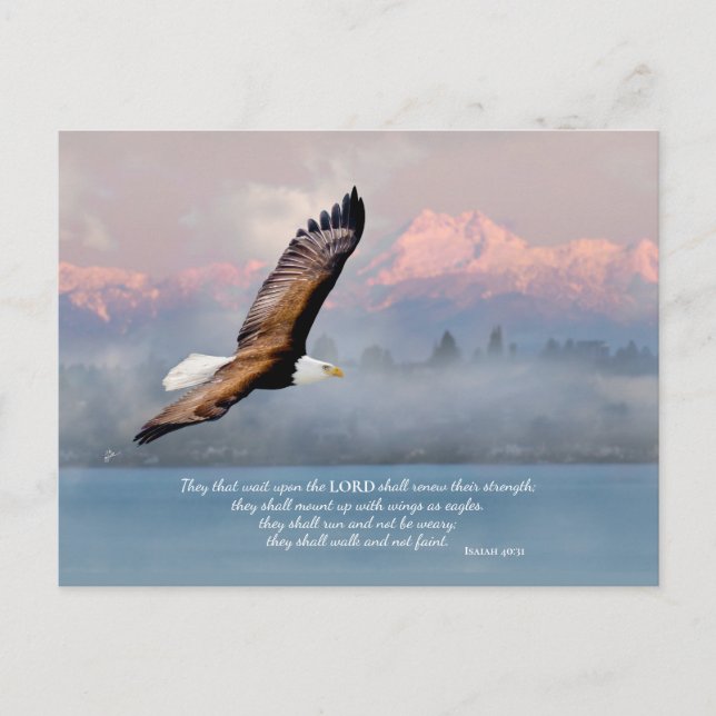 Mount Up With Wings Like Eagles Fine Art Blank Postcard (Front)