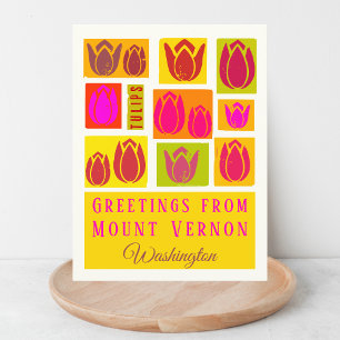 Mount Vernon Skagit Tulip Washington Postcard