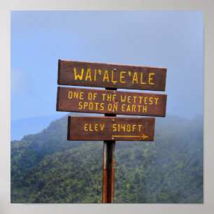 Mount Waialeale Sign, Kauai, Hawaii Poster
