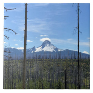 Mount Washington, OR Ceramic Tile