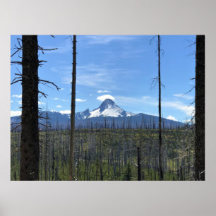 Mount Washington, OR Poster