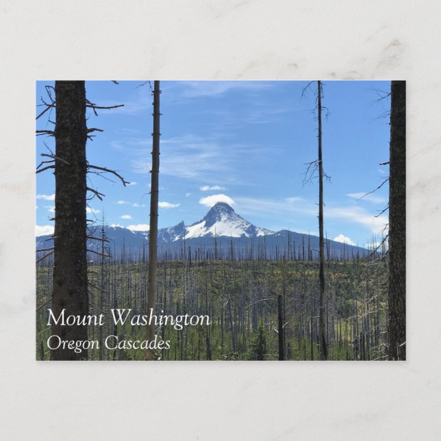 Mount Washington, Oregon Postcard (Front)