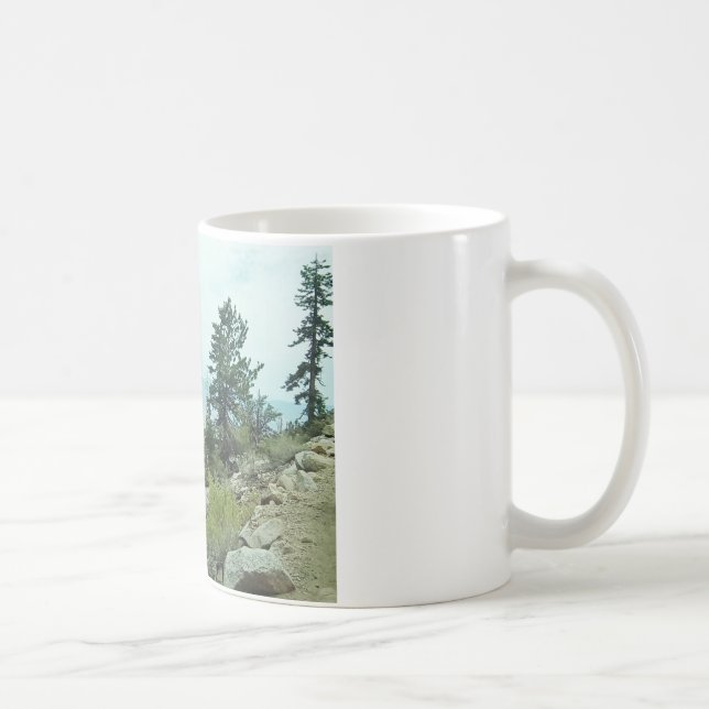 Mount Whitney Trail View #5 Mug - by Fern Savannah (Right)