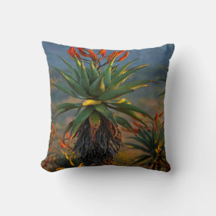 Mountain Aloe (Aloe Marlothii Berger) 2 Cushion