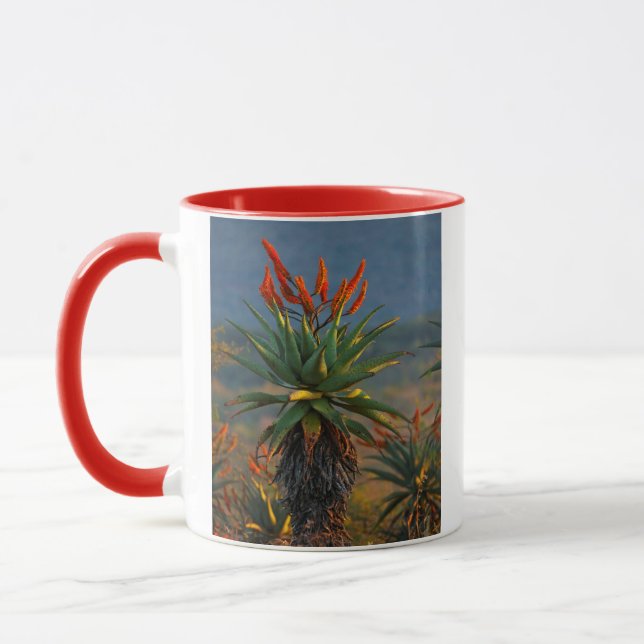 Mountain Aloe (Aloe Marlothii Berger) 2 Mug (Left)