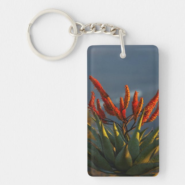Mountain Aloe (Aloe Marlothii Berger) Key Ring (Front)