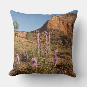 Mountain and Gayfeather Cushion