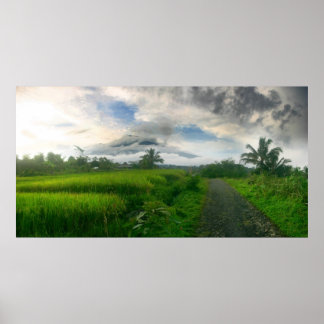 Mountain and Ricefields Poster