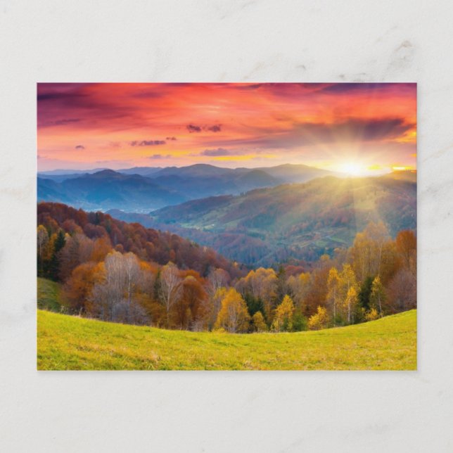 Mountain autumn landscape with forest postcard (Front)