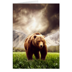 Mountain Bear