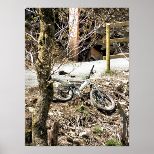 MOUNTAIN BIKES POSTER