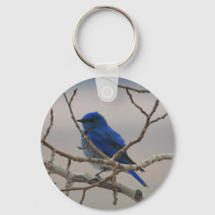 Mountain Blue Bird Key Ring