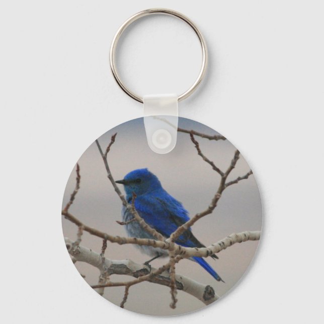 Mountain Blue Bird Key Ring (Front)