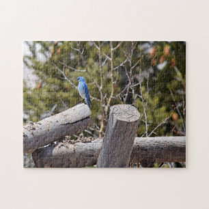 Mountain Bluebird - 11x14 - 252 pcs. Jigsaw Puzzle