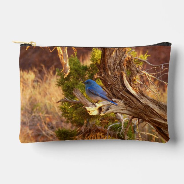 Mountain Bluebird at Arches National Park Accessory Pouch (Front)