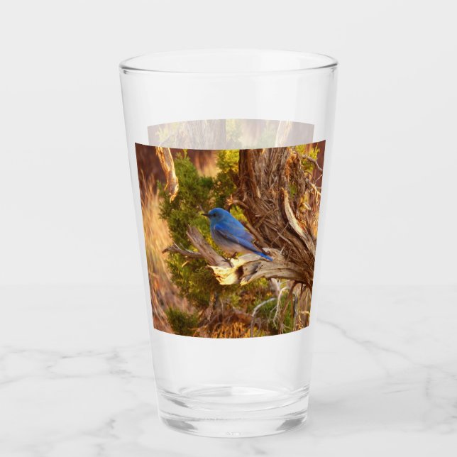 Mountain Bluebird at Arches National Park Glass (Front)