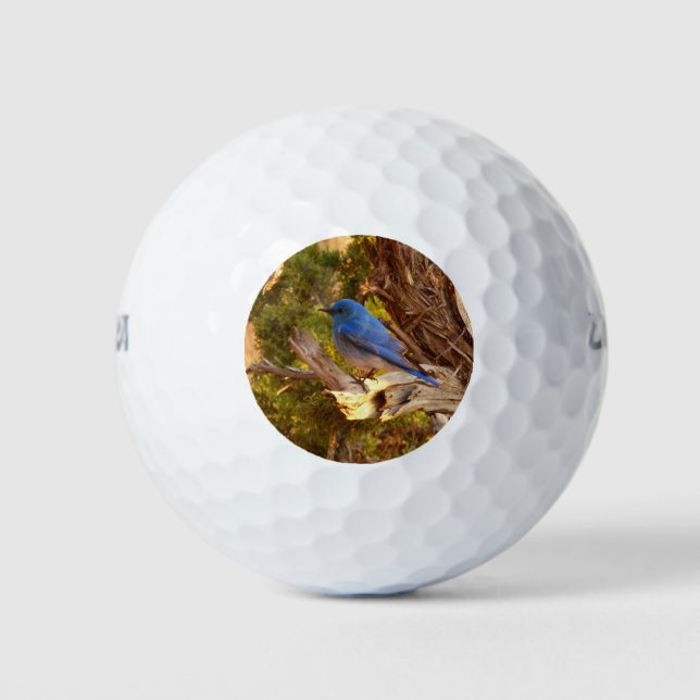 Mountain Bluebird at Arches National Park Golf Balls (Front)