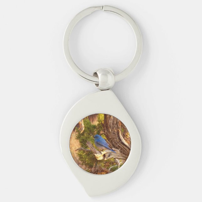 Mountain Bluebird at Arches National Park Key Ring (Front)