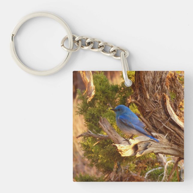 Mountain Bluebird at Arches National Park Key Ring (Front)