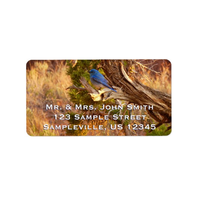 Mountain Bluebird at Arches National Park Label (Front)