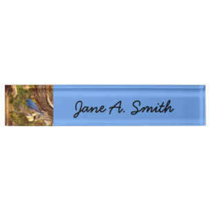 Mountain Bluebird at Arches National Park Nameplate