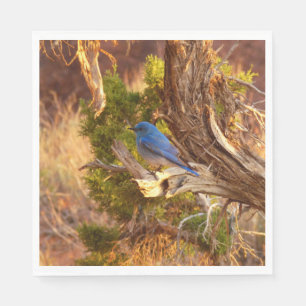 Mountain Bluebird at Arches National Park Napkin