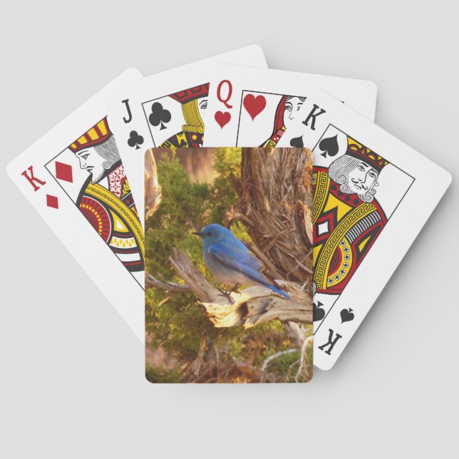 Mountain Bluebird at Arches National Park Playing Cards (Back)