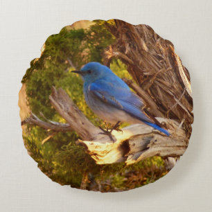 Mountain Bluebird at Arches National Park Round Cushion
