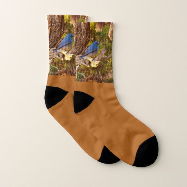 Mountain Bluebird at Arches National Park Socks (Pair)