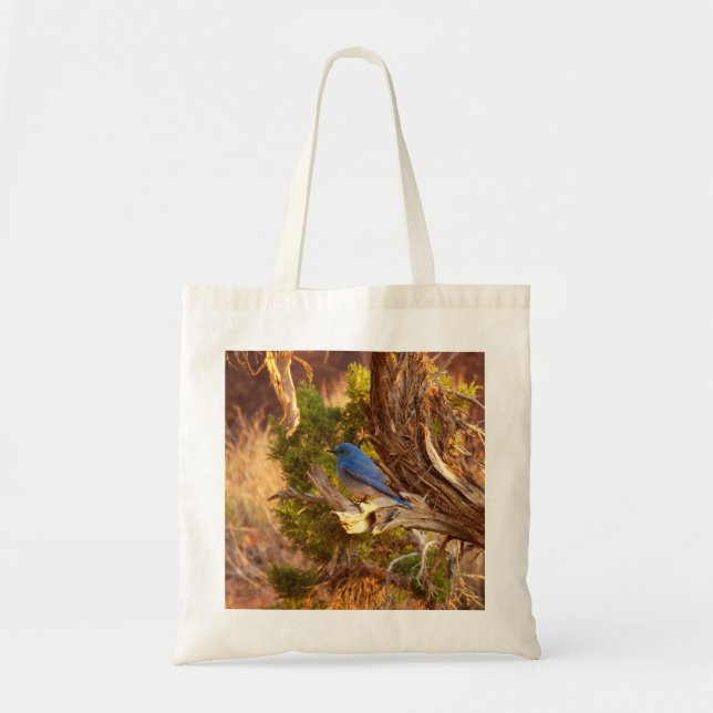 Mountain Bluebird at Arches National Park Tote Bag (Front)