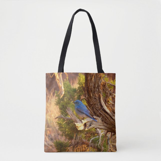 Mountain Bluebird at Arches National Park Tote Bag (Front)