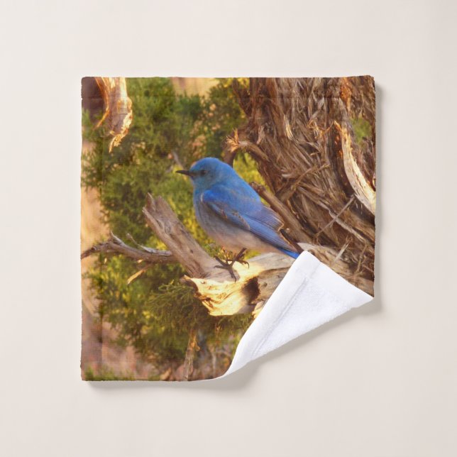 Mountain Bluebird at Arches National Park Wash Cloth (Wash Cloth)