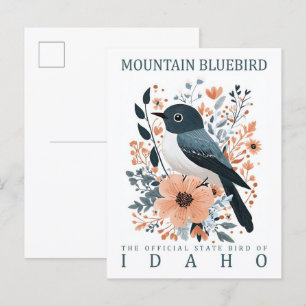 Mountain Bluebird Bird of Idaho USA Travel Postcard