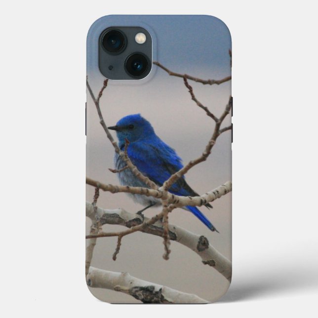 Mountain Bluebird Case-Mate iPhone Case (Back)