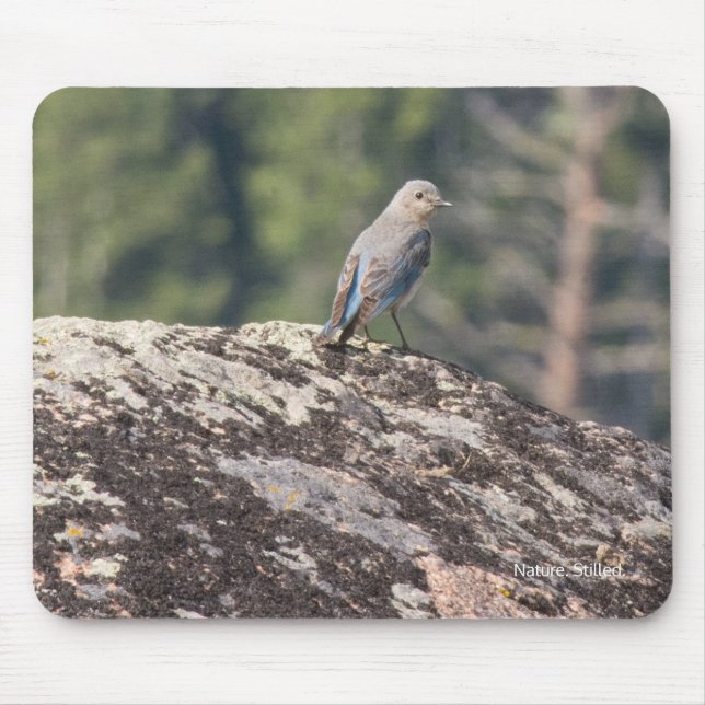 Mountain Bluebird on Granite Mouse Pad (Front)