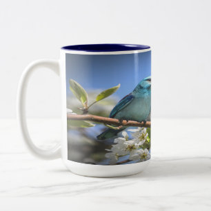 Mountain Bluebird Two-Tone Coffee Mug