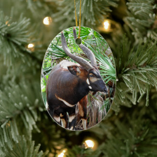 Mountain Bongo Antelope Ceramic Ornament