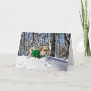 Mountain Climber Encouragement Card