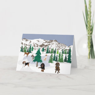 Mountain Coonhounds Card