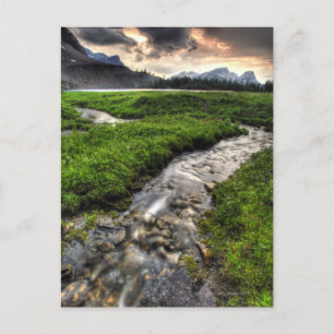 Mountain creek descends through meadow towards postcard