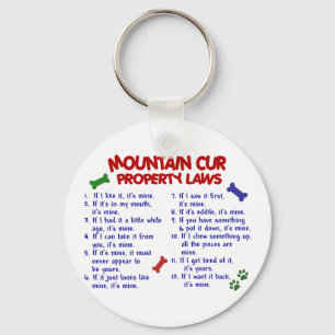 MOUNTAIN CUR Property Laws 2 Key Ring