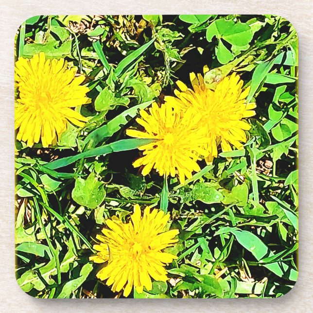 Mountain Dandelions Photo. Buy Now Coaster (Front)