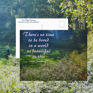 Mountain Field Blue Ridge Mountains Sandburg Quote Postcard